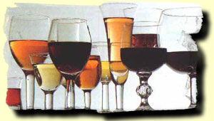 Chile Wine Tour